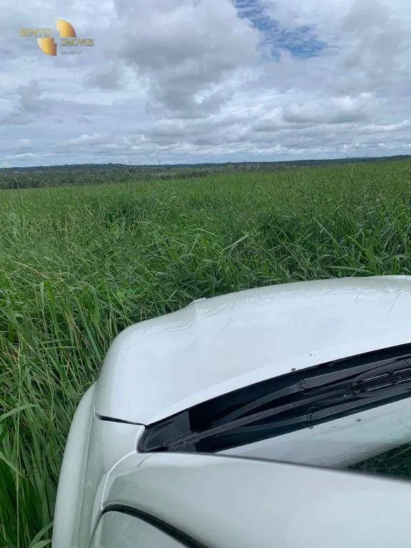 Fazenda à venda de 1.822 ha em Primavera do Leste, MT, Brasil