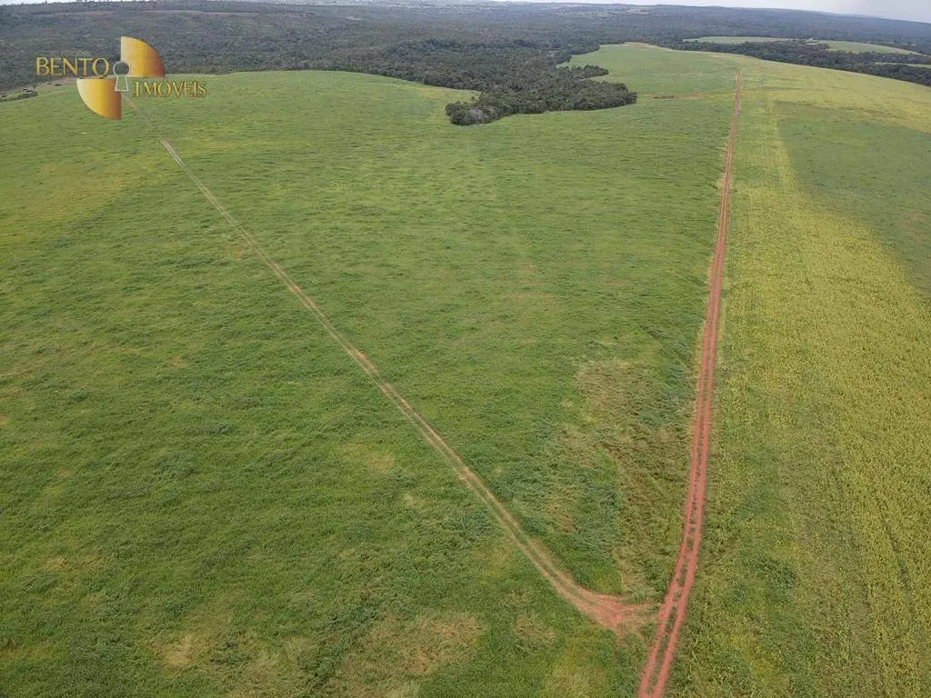 Fazenda à venda de 1.822 ha em Primavera do Leste, MT, Brasil