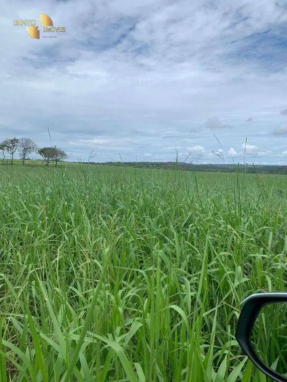 Fazenda à venda de 1.822 ha em Primavera do Leste, MT, Brasil
