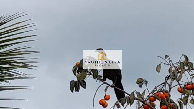 Chácara à venda de 2.058 m² em Jacareí, SP, Brasil