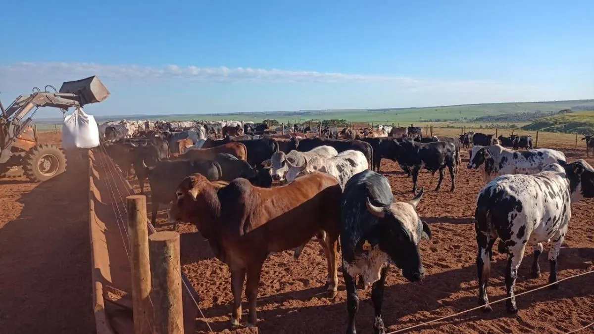 Fazenda à venda de 126 ha em Presidente Prudente, SP, Brasil