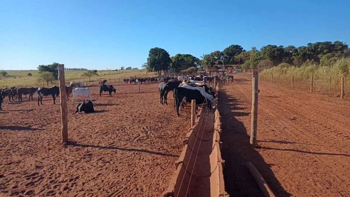 Fazenda à venda de 126 ha em Presidente Prudente, SP, Brasil
