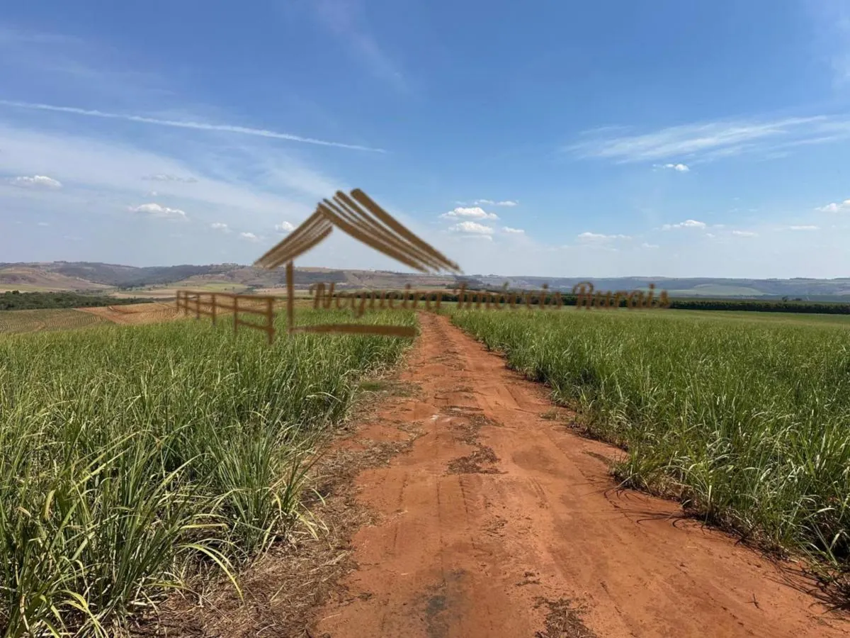 Fazenda à venda de 1.137 ha em Avaré, SP, Brasil
