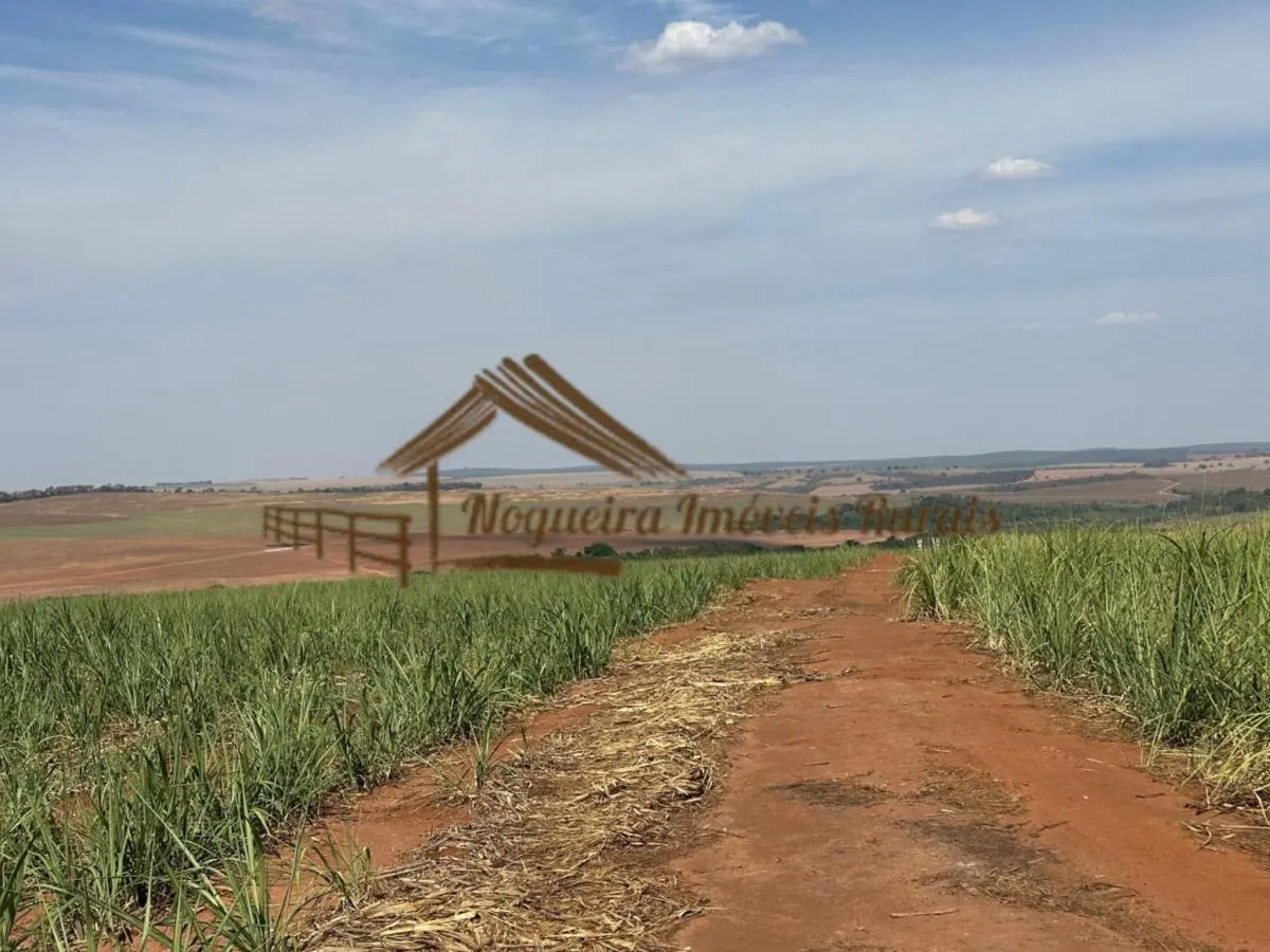 Fazenda à venda de 1.137 ha em Avaré, SP, Brasil