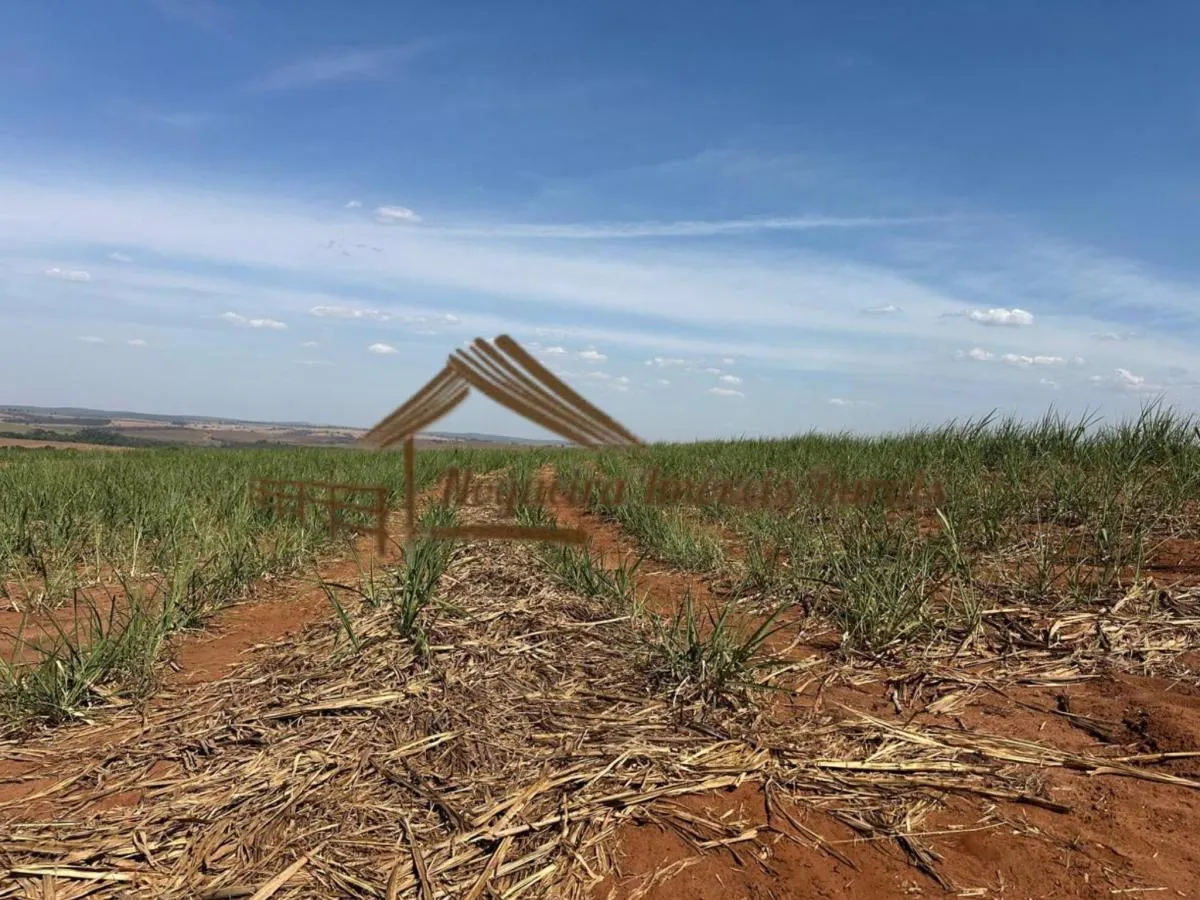 Fazenda à venda de 1.137 ha em Avaré, SP, Brasil