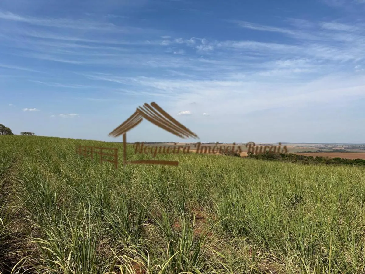 Fazenda à venda de 1.137 ha em Avaré, SP, Brasil