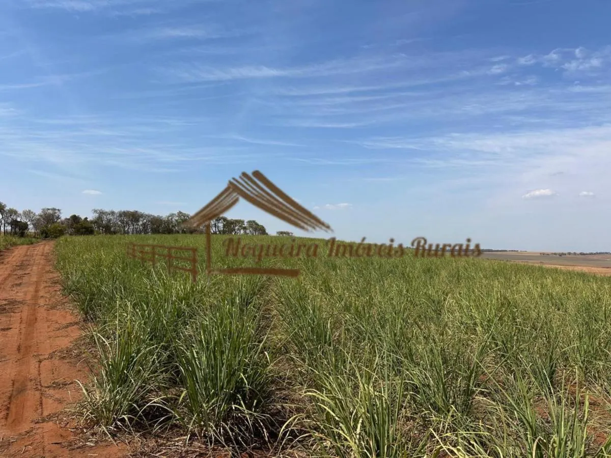 Fazenda à venda de 1.137 ha em Avaré, SP, Brasil
