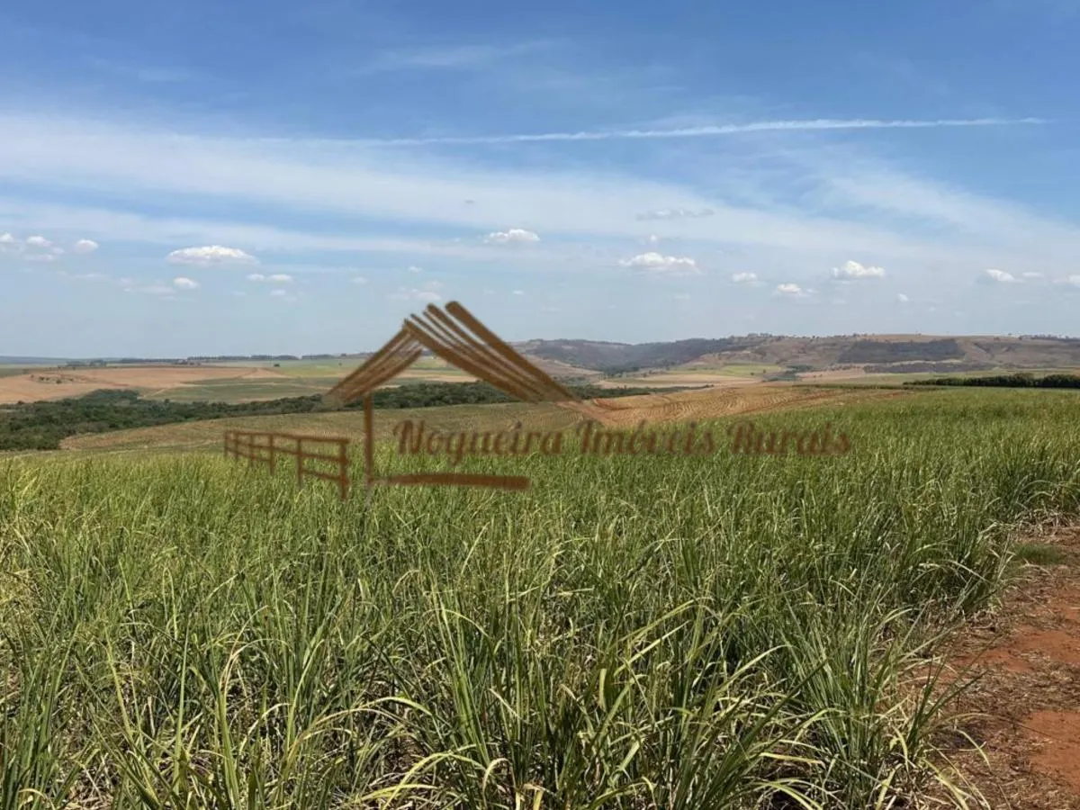Fazenda à venda de 1.137 ha em Avaré, SP, Brasil