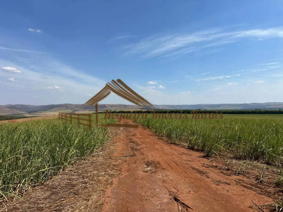 Fazenda à venda de 1.137 ha em Avaré, SP, Brasil