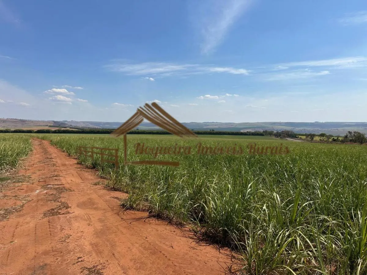 Fazenda à venda de 1.137 ha em Avaré, SP, Brasil