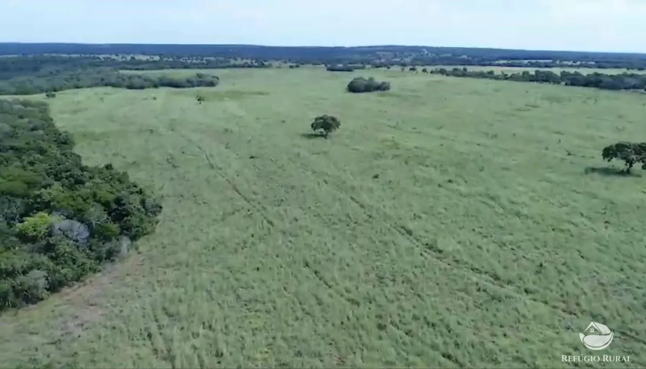 Fazenda à venda de 1.815 ha em Gurupi, TO, Brasil