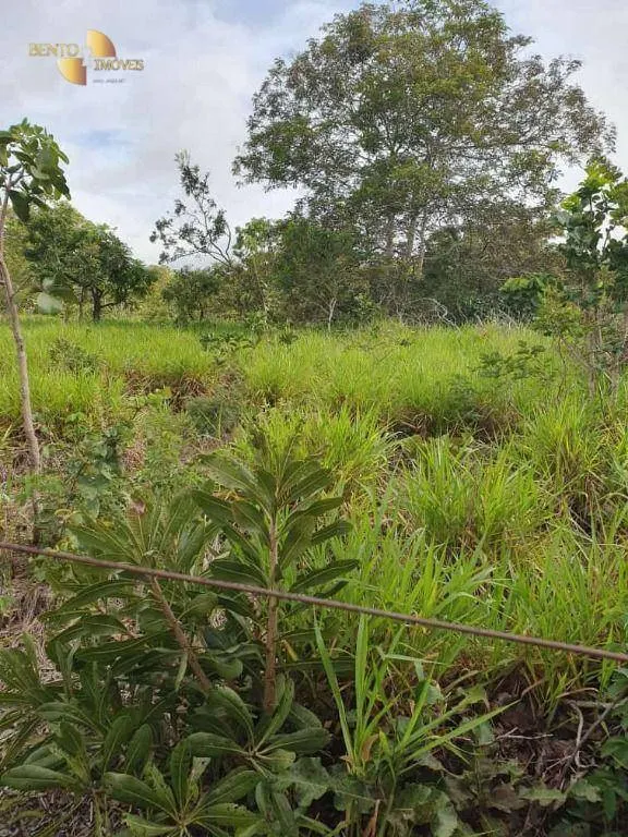 Fazenda à venda de 923 ha em Alto Garças, MT, Brasil
