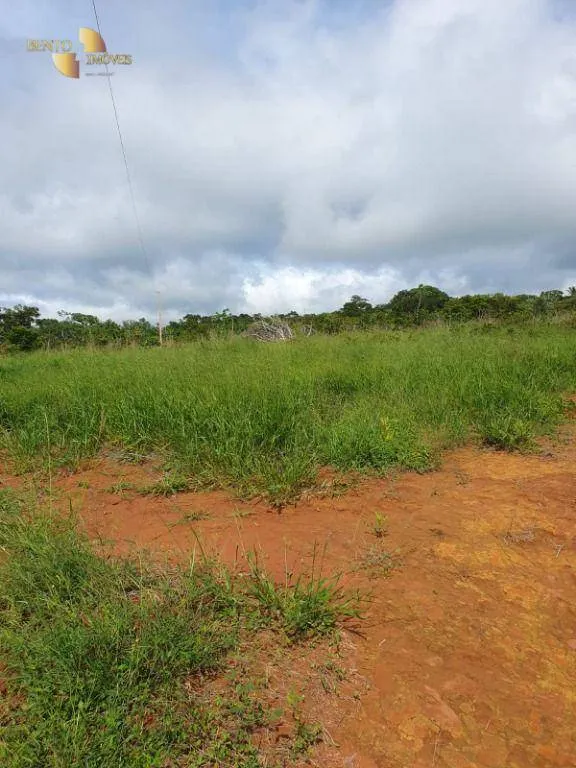 Fazenda à venda de 923 ha em Alto Garças, MT, Brasil