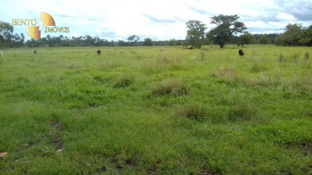 Fazenda à venda de 1.008 ha em Alto Paraguai, MT, Brasil