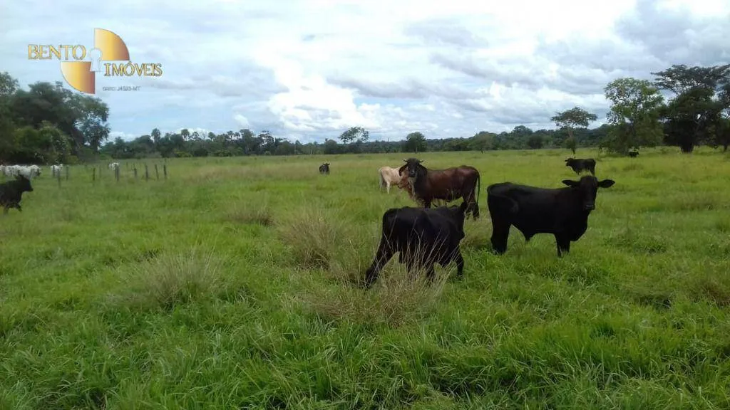 Fazenda à venda de 1.008 ha em Alto Paraguai, MT, Brasil