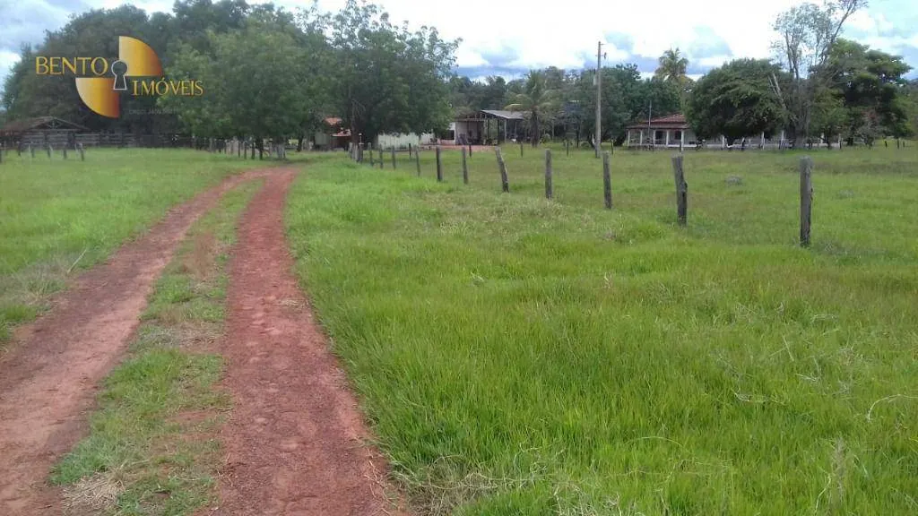 Fazenda à venda de 1.008 ha em Alto Paraguai, MT, Brasil