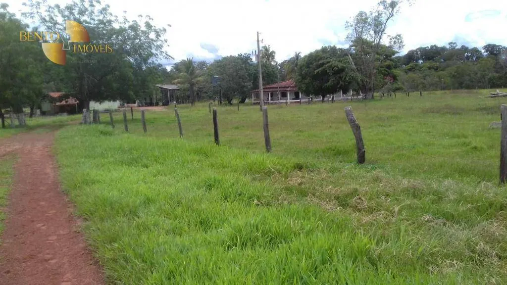 Fazenda à venda de 1.008 ha em Alto Paraguai, MT, Brasil