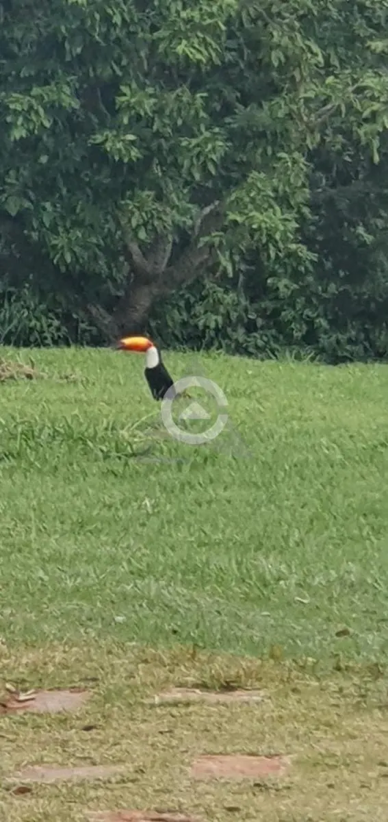 Sítio à venda de 31 ha em Campinas, SP, Brasil