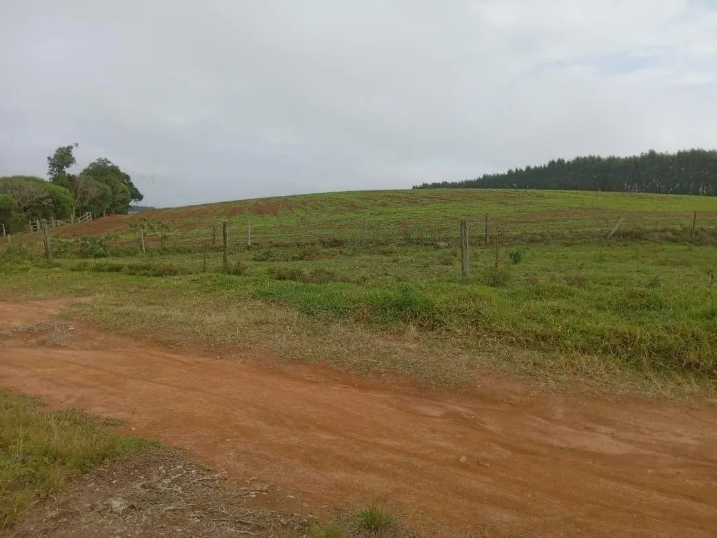 Fazenda à venda de 390 ha em Capão Bonito, SP, Brasil