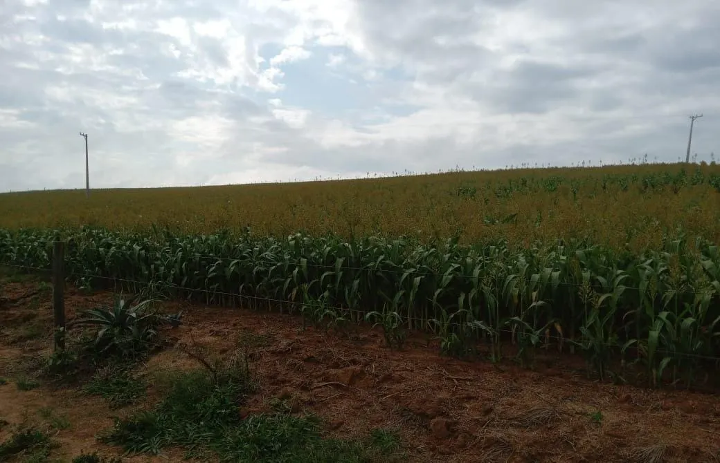 Fazenda à venda de 390 ha em Capão Bonito, SP, Brasil