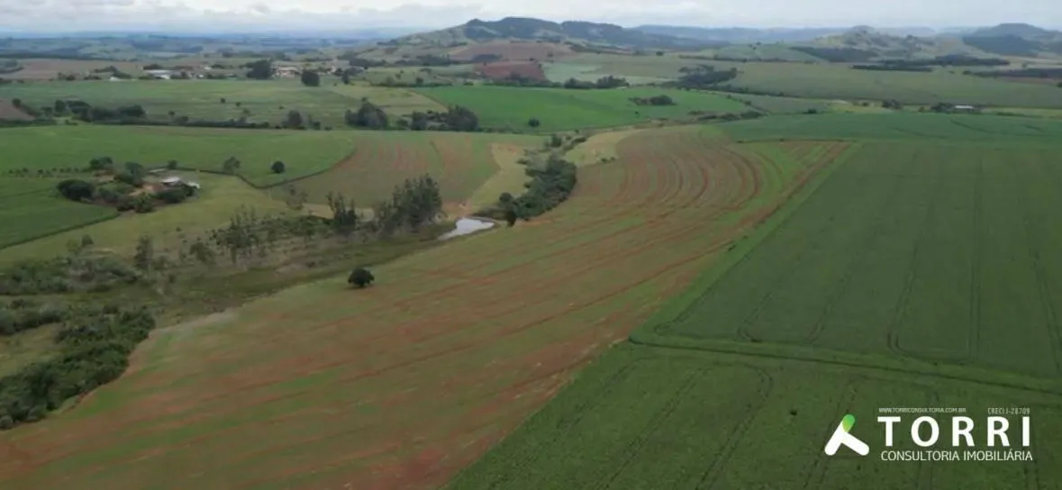 Fazenda à venda de 310 ha em Itaporanga, SP, Brasil