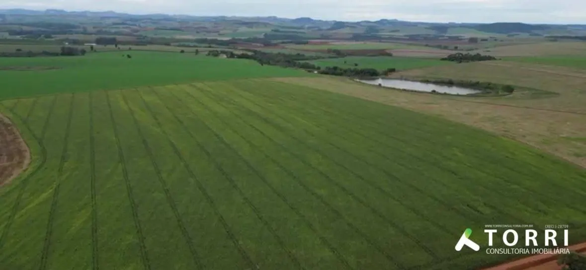 Fazenda à venda de 310 ha em Itaporanga, SP, Brasil