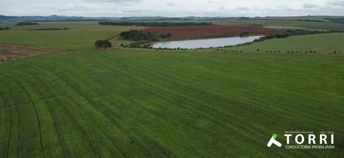 Fazenda à venda de 310 ha em Itaporanga, SP, Brasil