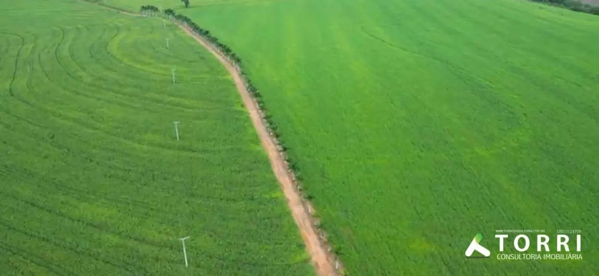 Fazenda à venda de 310 ha em Itaporanga, SP, Brasil