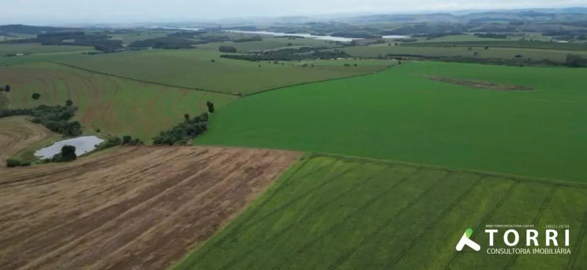 Fazenda à venda de 310 ha em Itaporanga, SP, Brasil