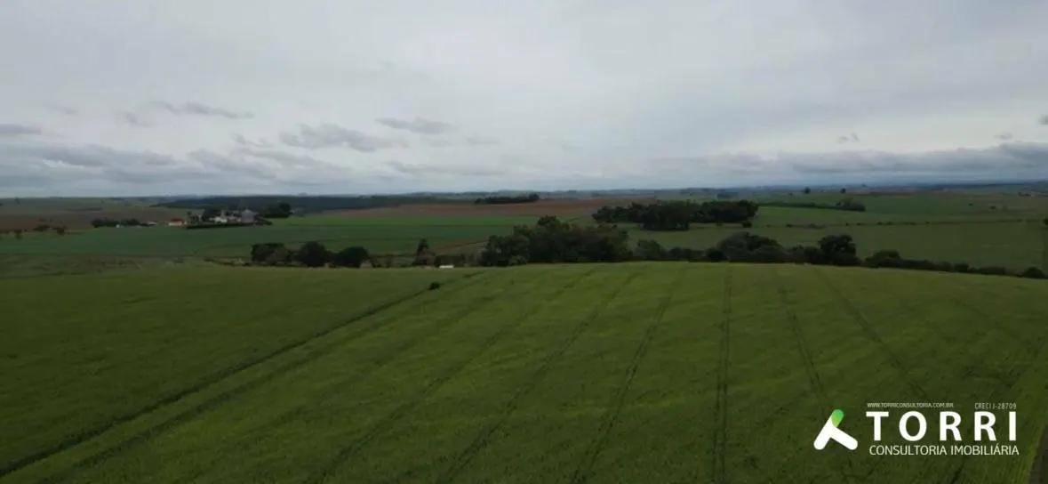 Fazenda à venda de 310 ha em Itaporanga, SP, Brasil