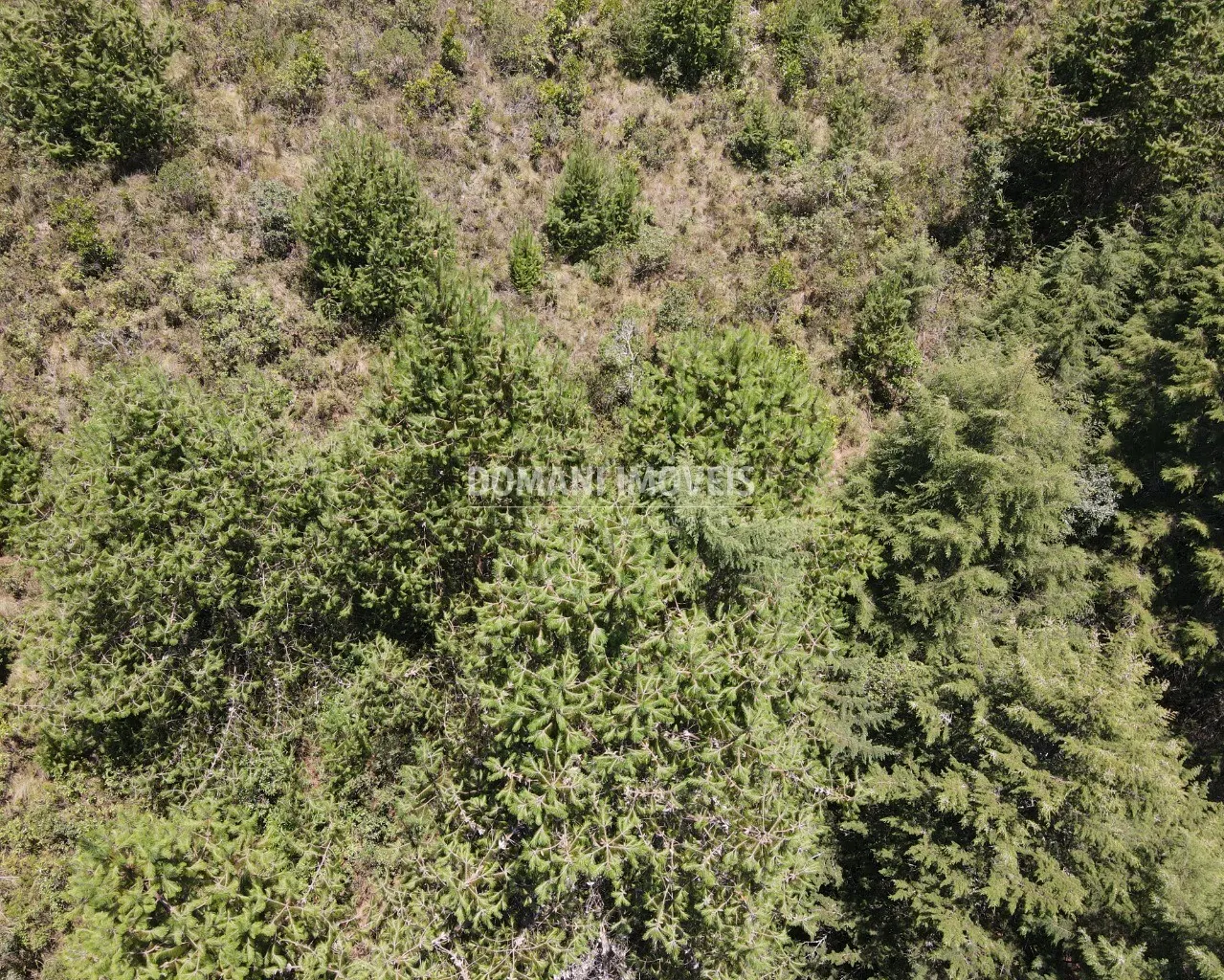 Terreno à venda de 3.220 m² em Campos do Jordão, SP, Brasil