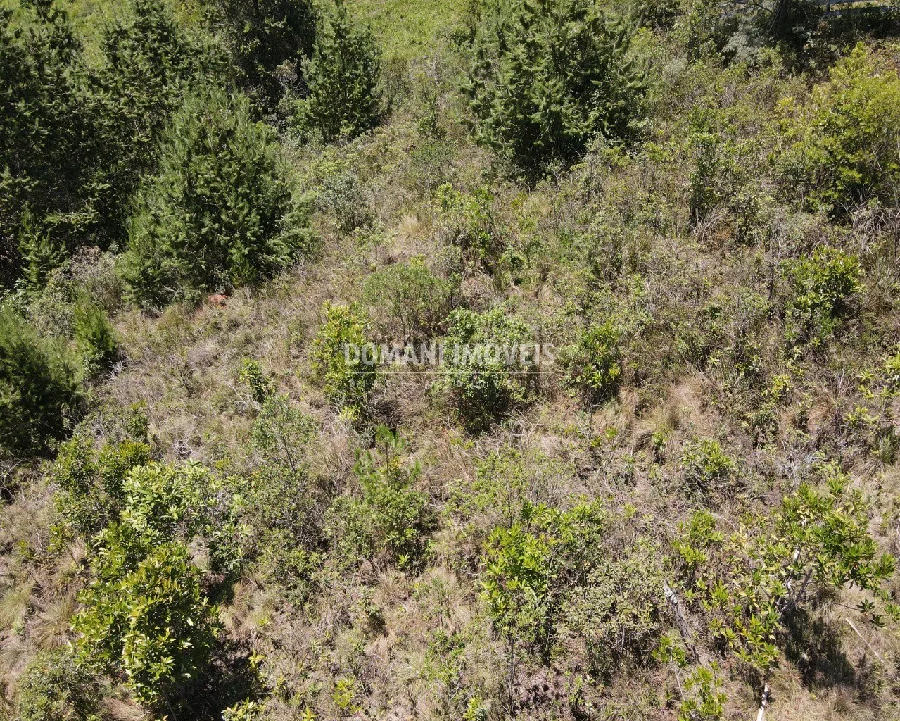 Terreno à venda de 3.220 m² em Campos do Jordão, SP, Brasil