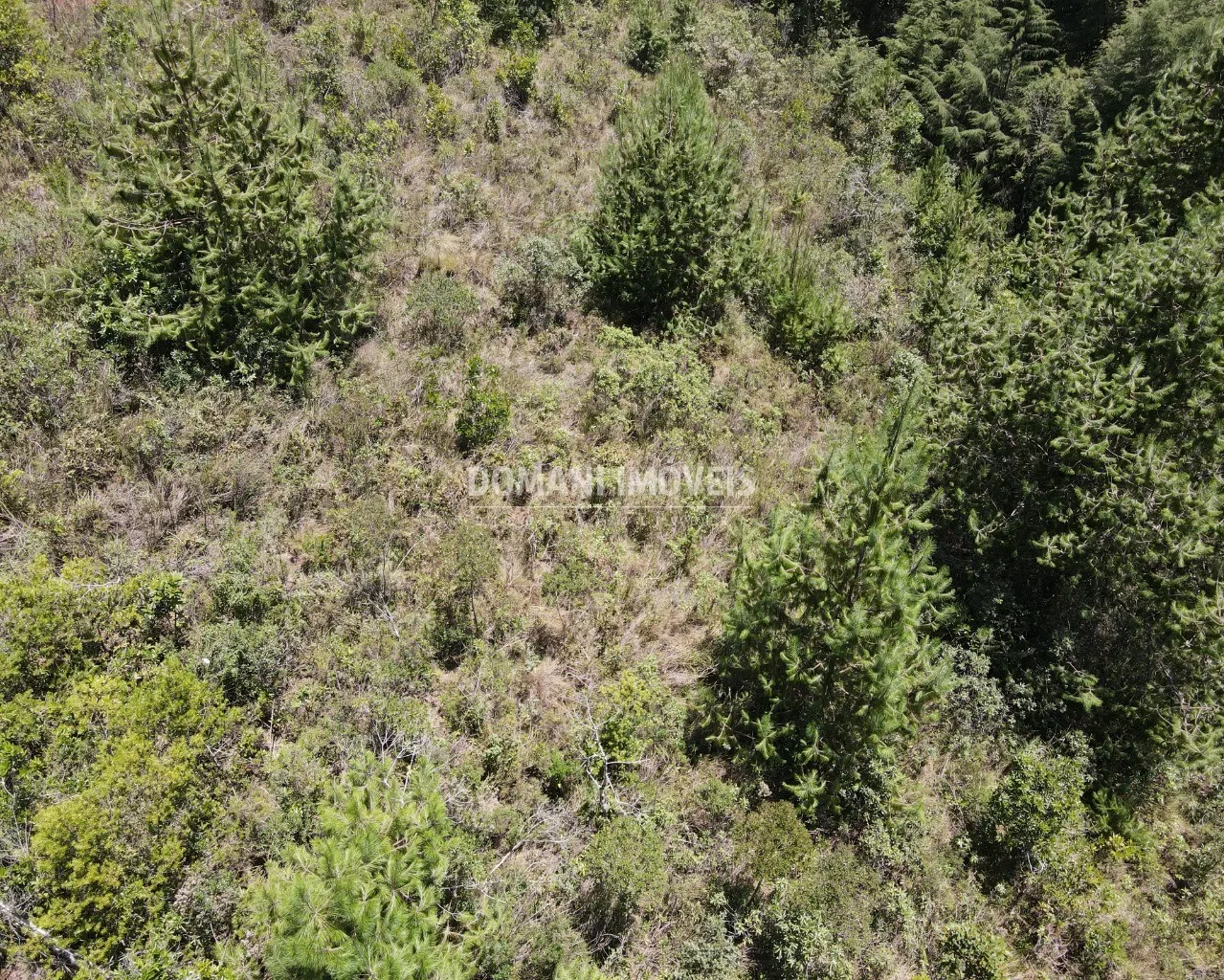 Terreno à venda de 3.220 m² em Campos do Jordão, SP, Brasil