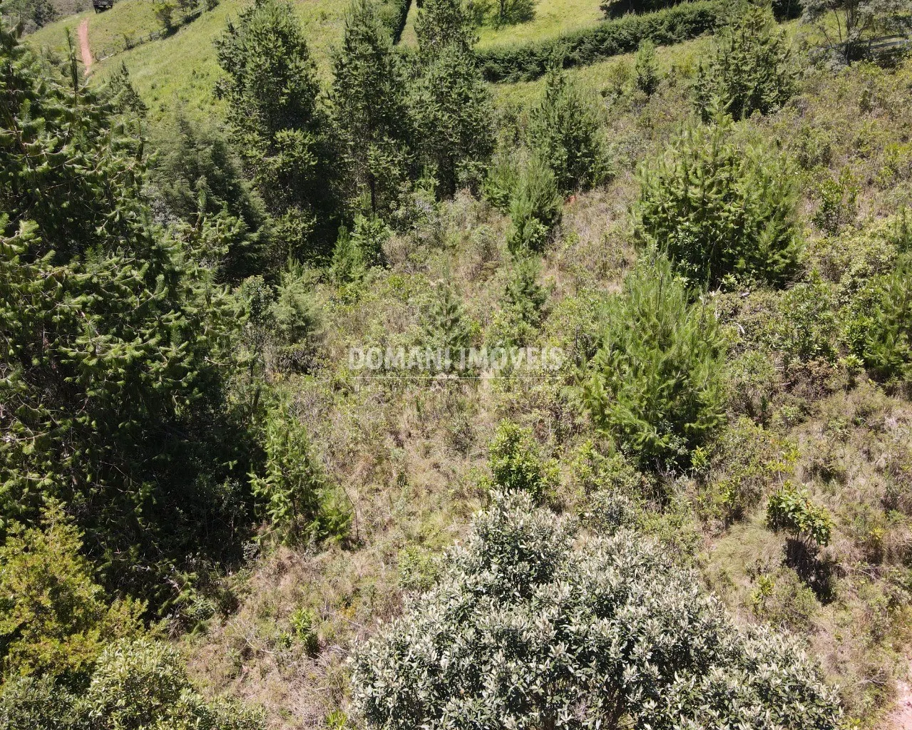 Terreno à venda de 3.220 m² em Campos do Jordão, SP, Brasil