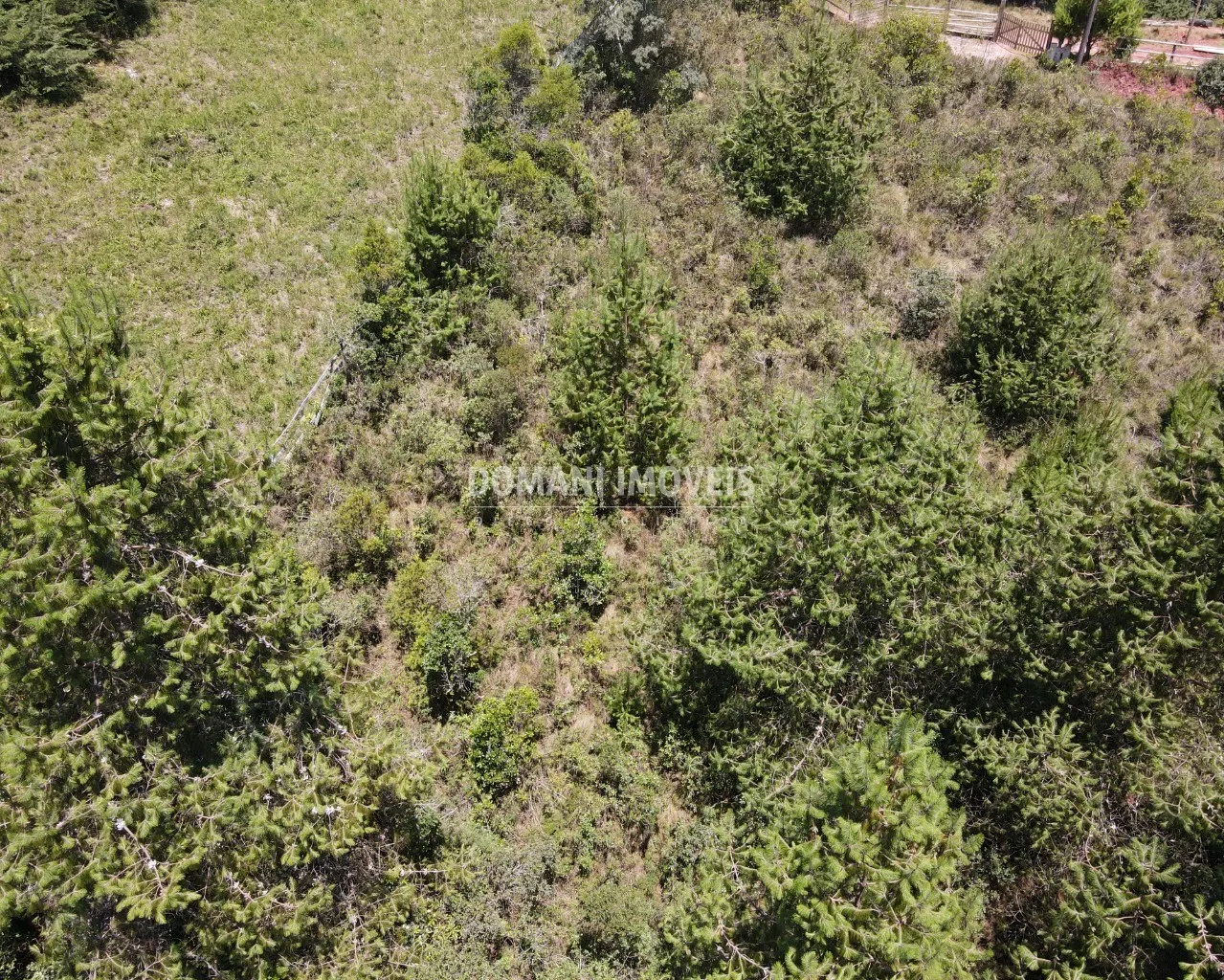 Terreno à venda de 3.220 m² em Campos do Jordão, SP, Brasil