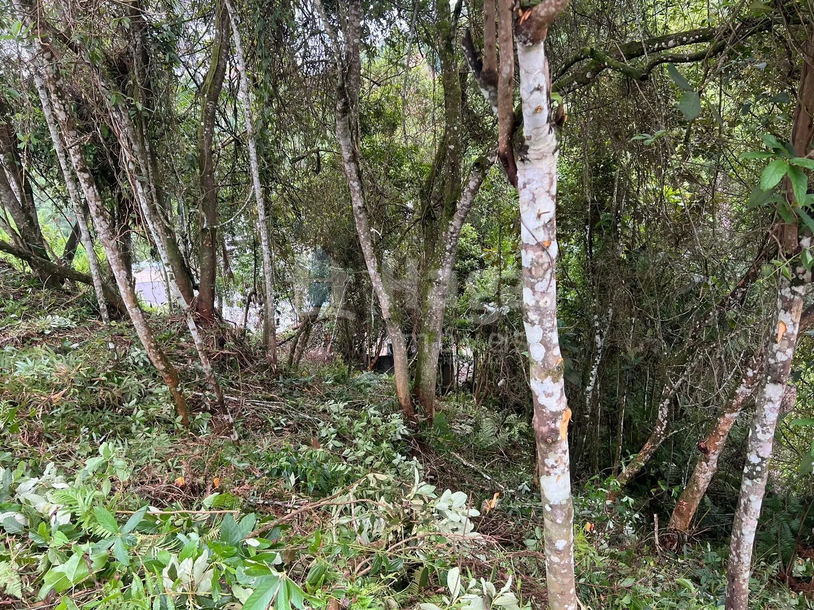 Terreno à venda de 456 m² em Brusque, SC, Brasil