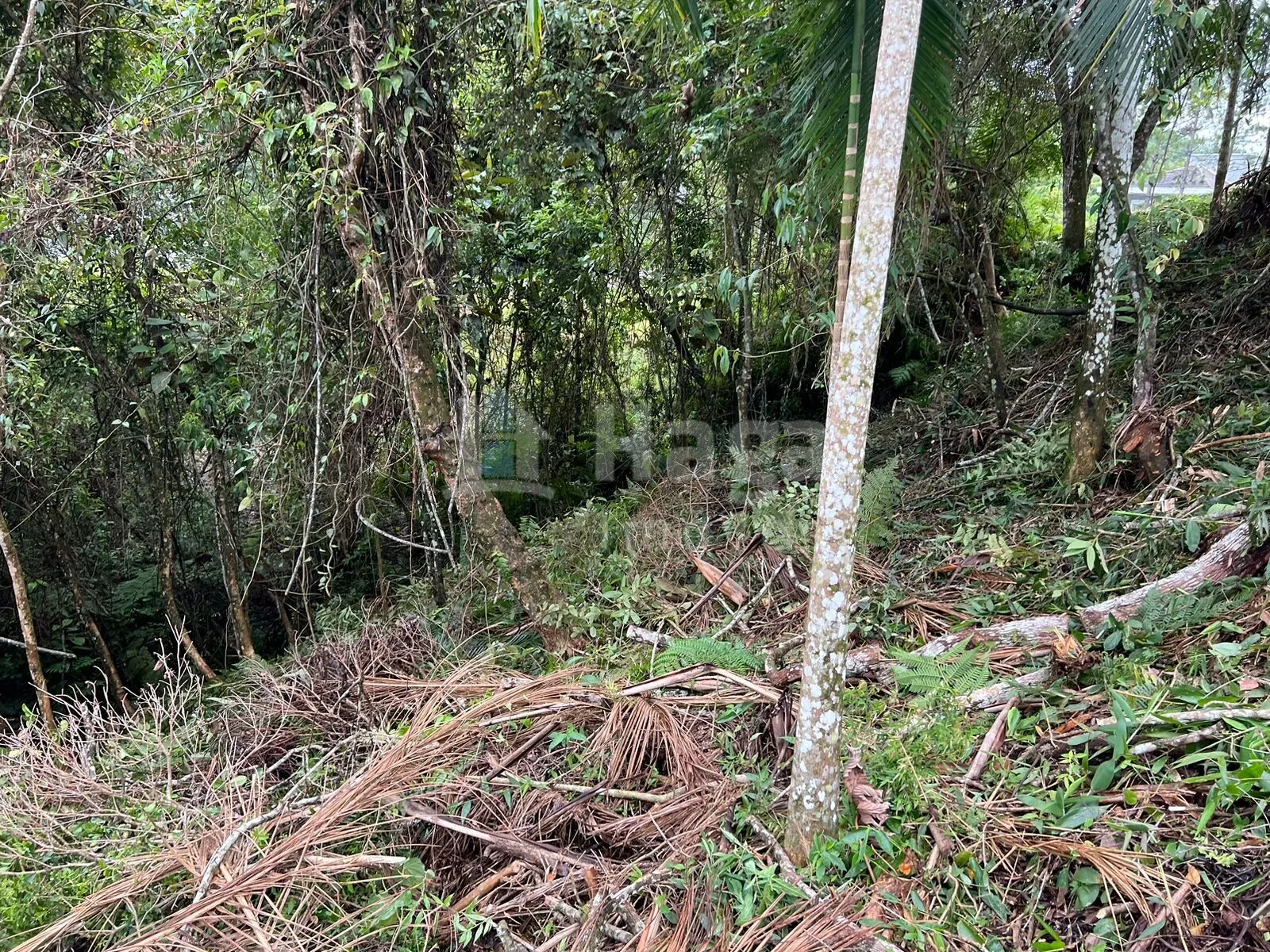 Terreno à venda de 456 m² em Brusque, SC, Brasil