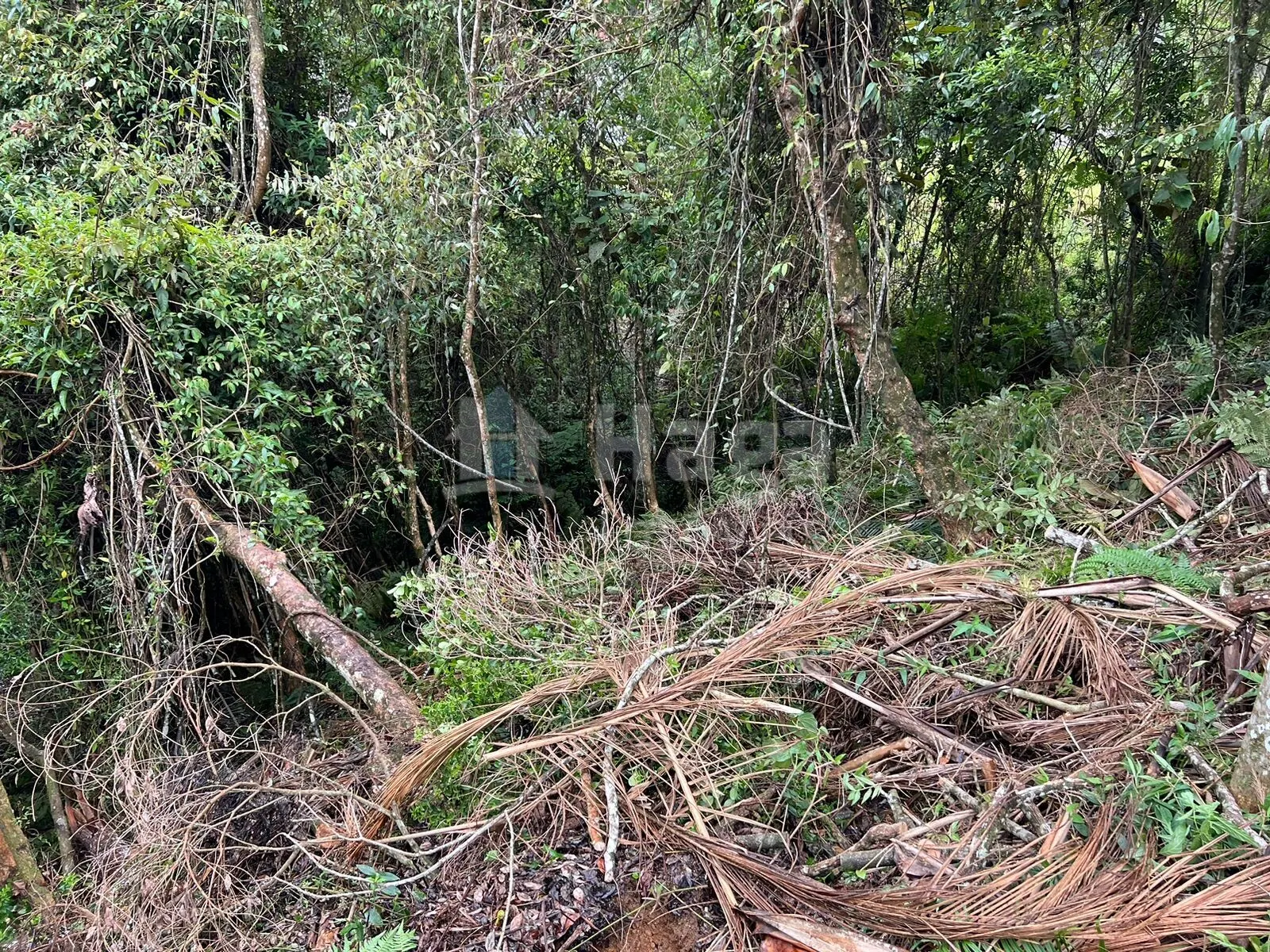 Terreno à venda de 456 m² em Brusque, SC, Brasil