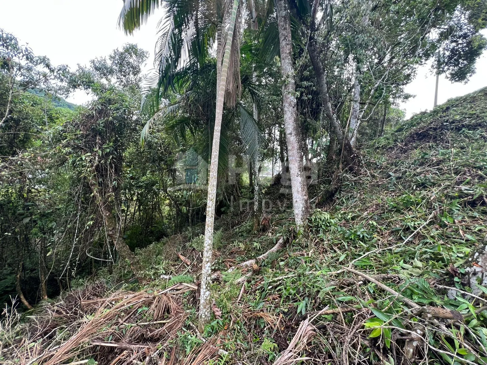 Terreno à venda de 456 m² em Brusque, SC, Brasil