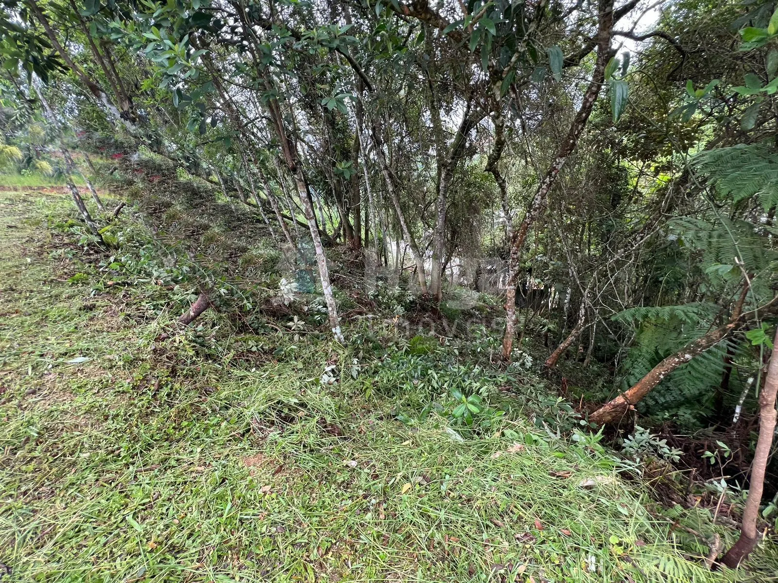 Terreno à venda de 456 m² em Brusque, SC, Brasil