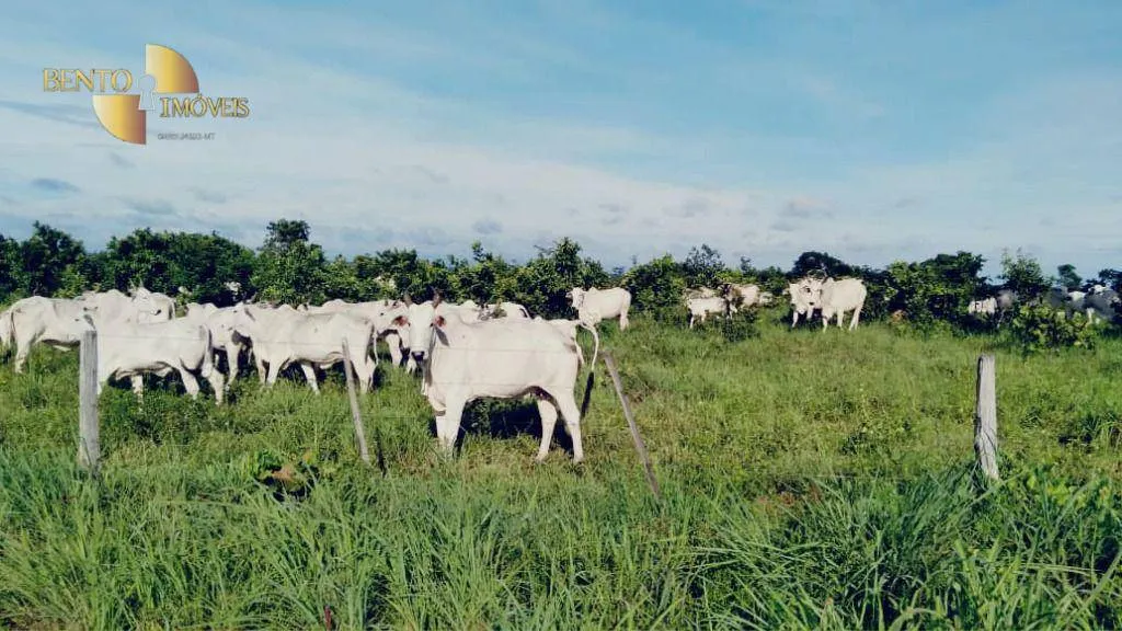 Fazenda à venda de 2.000 ha em Cuiabá, MT, Brasil