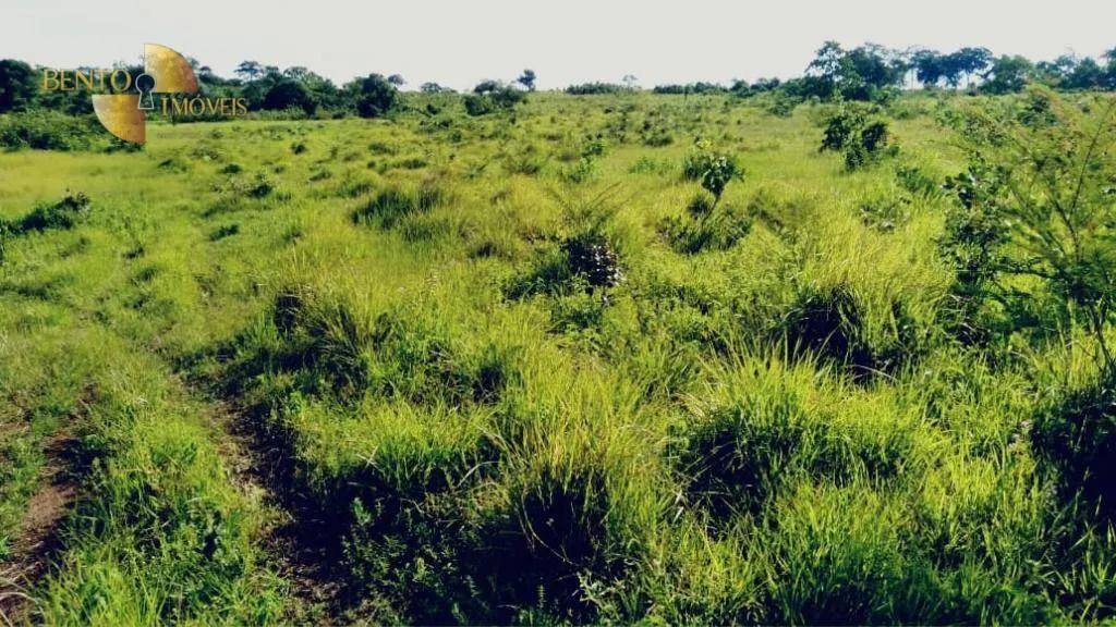 Fazenda à venda de 2.000 ha em Cuiabá, MT, Brasil