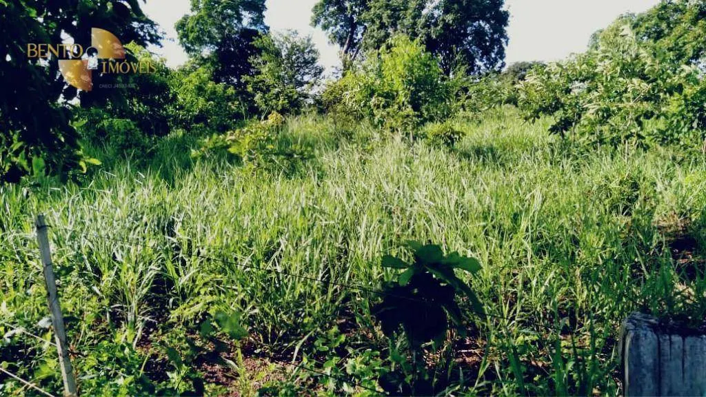 Fazenda à venda de 2.000 ha em Cuiabá, MT, Brasil