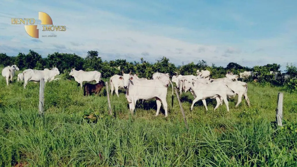 Fazenda à venda de 2.000 ha em Cuiabá, MT, Brasil