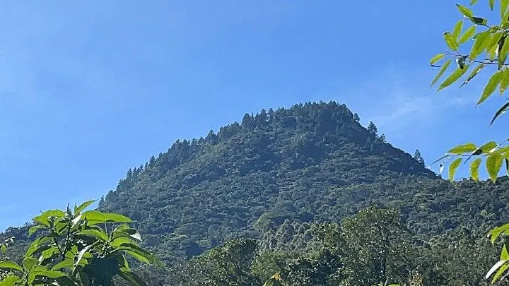 Sítio à venda de 19 ha em Riozinho, RS, Brasil