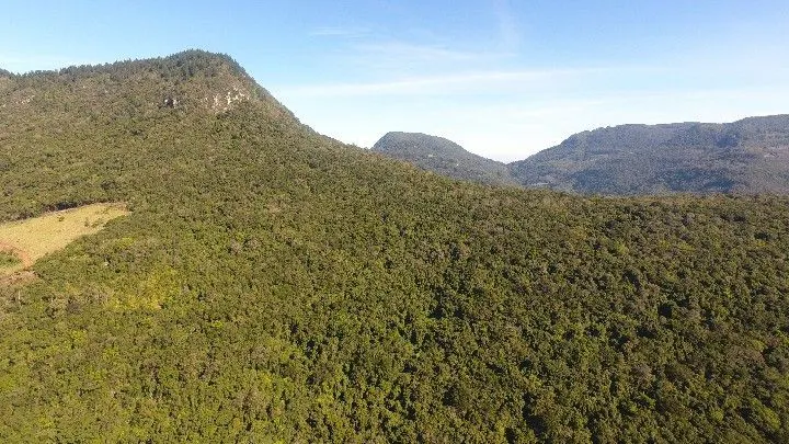 Sítio à venda de 19 ha em Riozinho, RS, Brasil