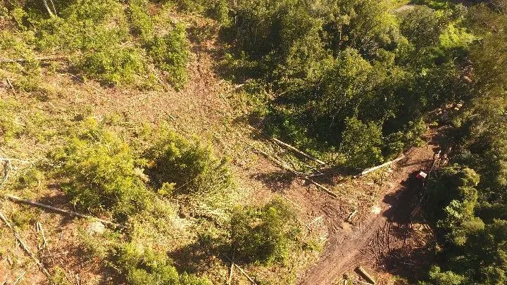 Sítio à venda de 19 ha em Riozinho, RS, Brasil
