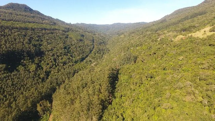 Sítio à venda de 19 ha em Riozinho, RS, Brasil