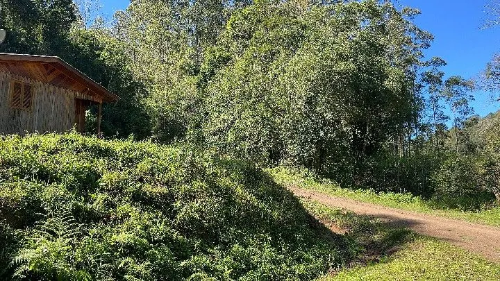 Sítio à venda de 19 ha em Riozinho, RS, Brasil
