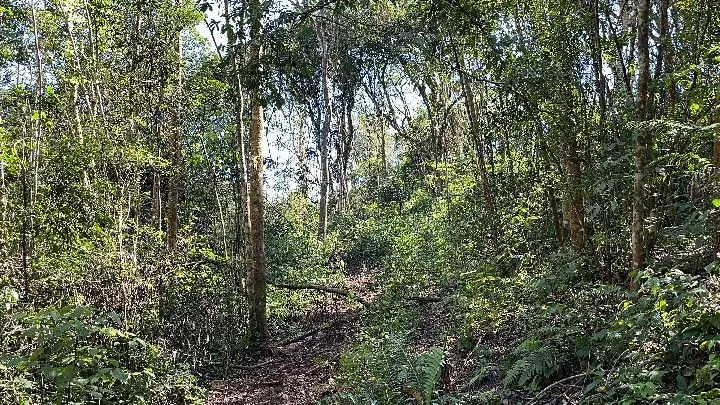 Sítio à venda de 19 ha em Riozinho, RS, Brasil